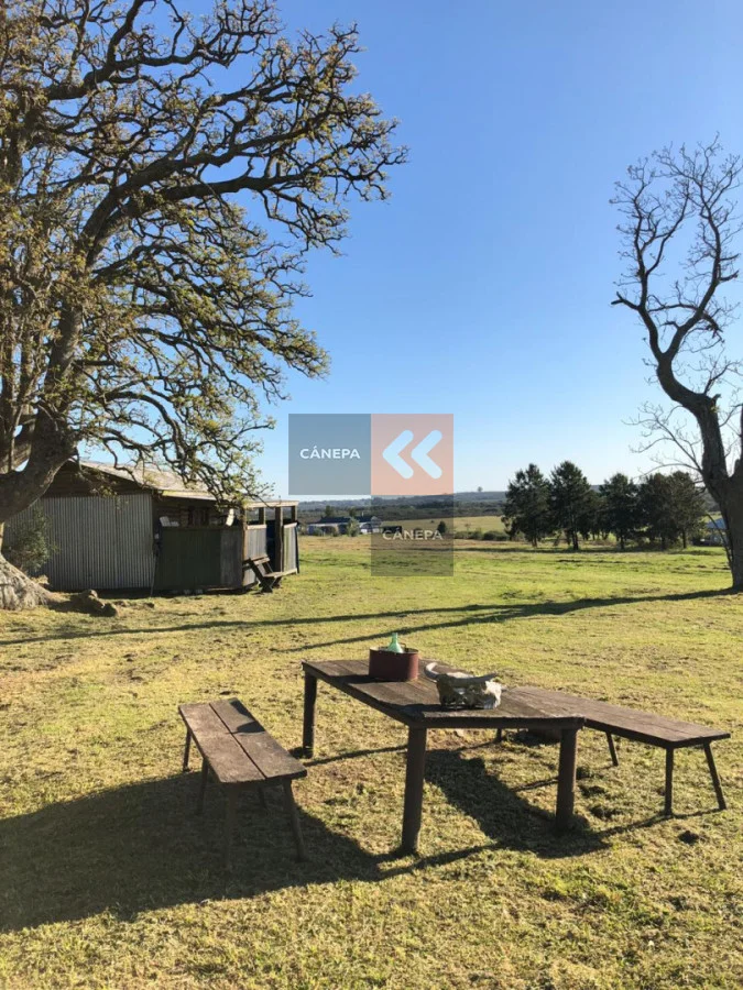 Casa en Carmelo, propiedad 286787 -Imagen 23