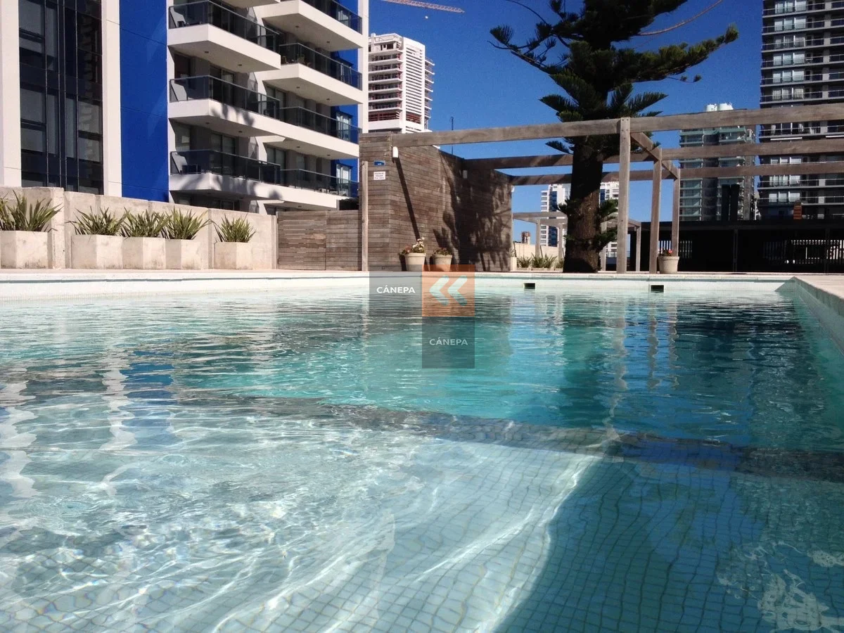 Apartamento en Playa Brava, propiedad 288949 -Imagen 18
