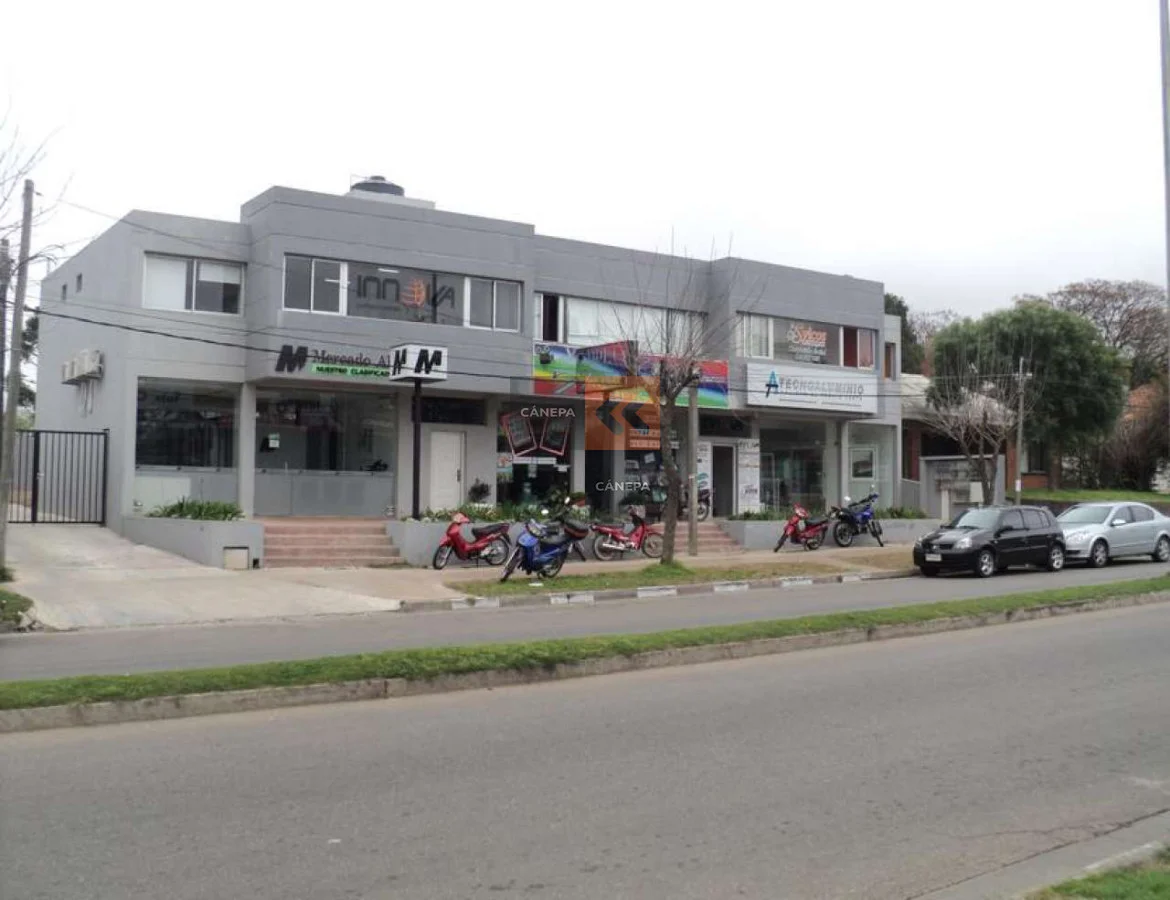 Local en Maldonado, propiedad 39342 -Imagen 3
