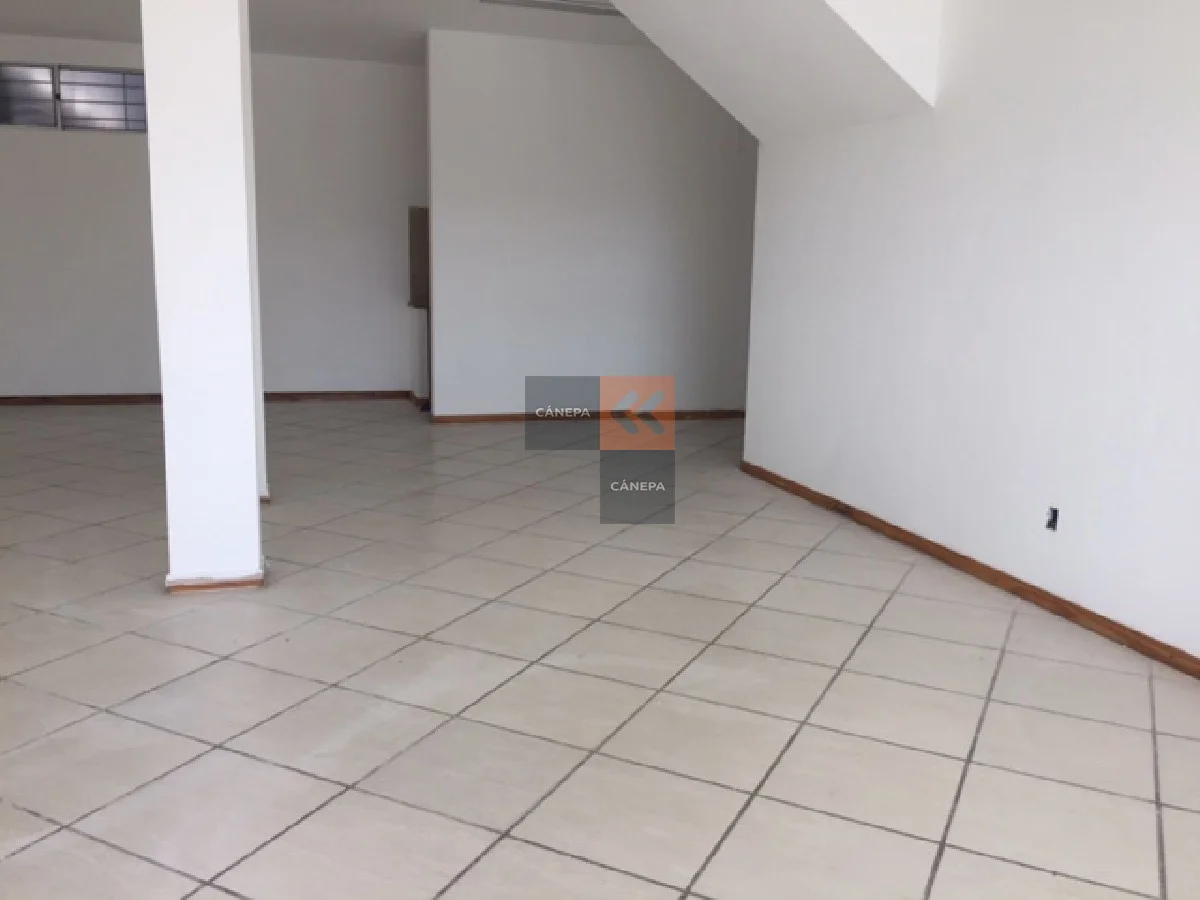 Local en Maldonado, propiedad 39342 -Imagen 5