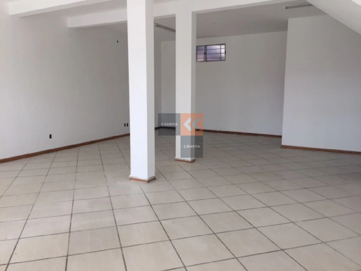 Local en Maldonado, propiedad 39342 -Imagen 6