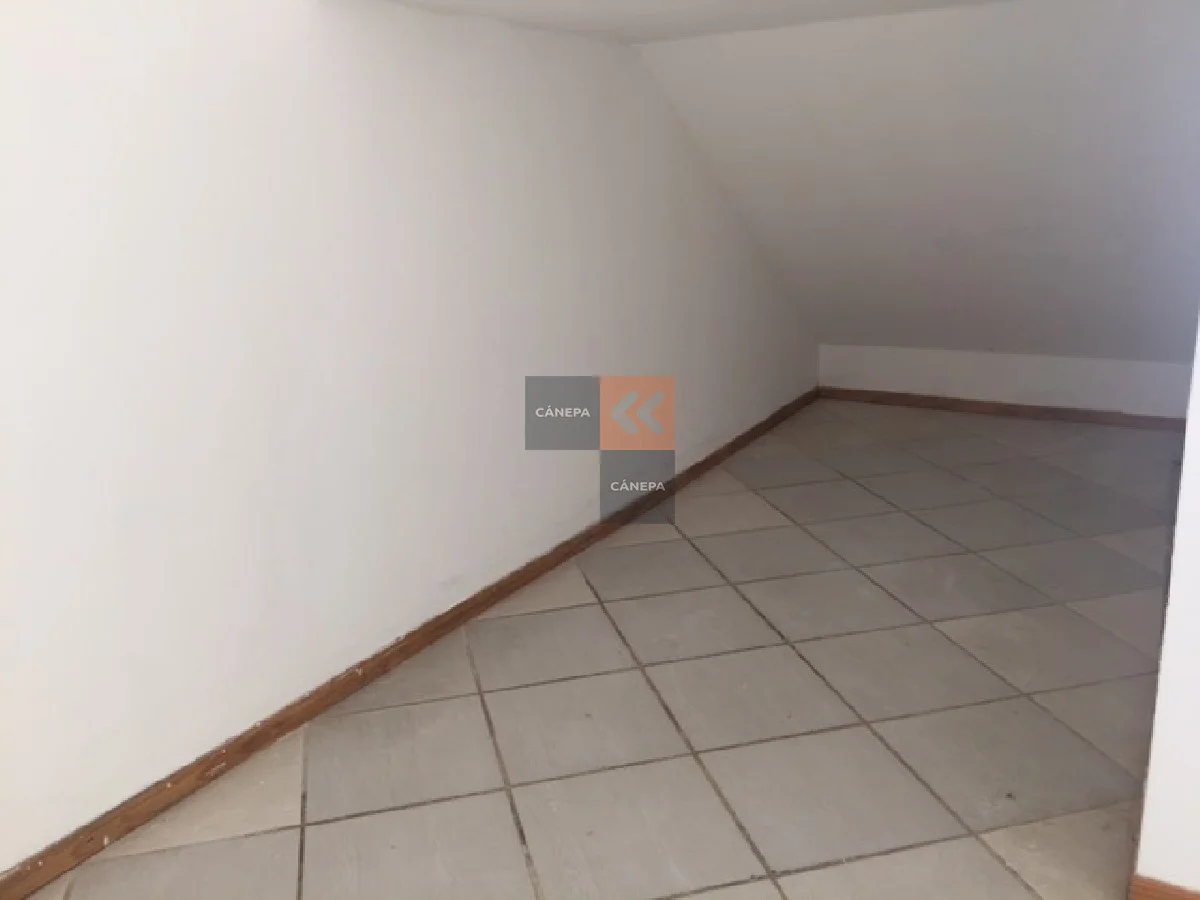 Local en Maldonado, propiedad 39342 -Imagen 7