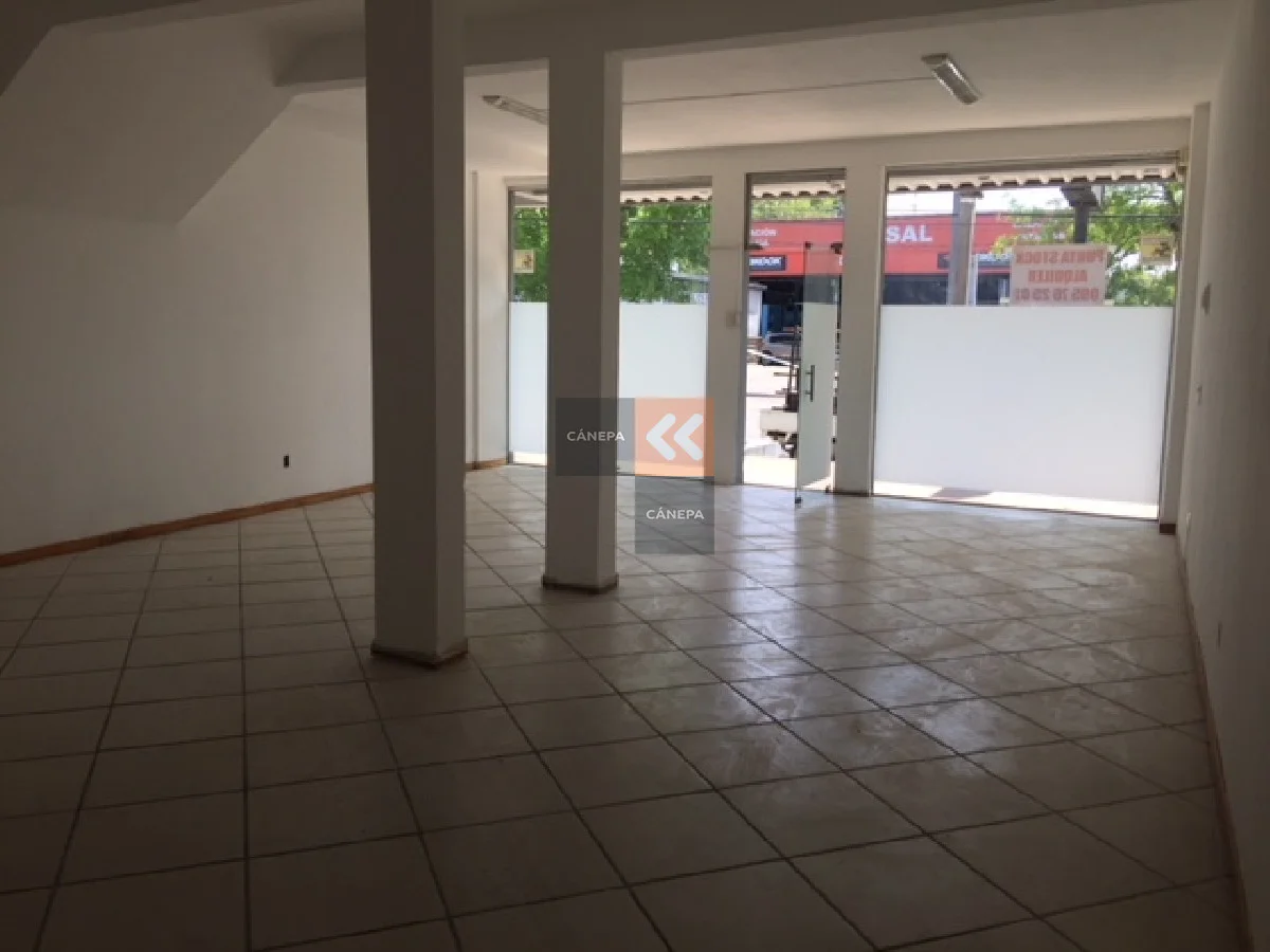 Local en Maldonado, propiedad 39342 -Imagen 8
