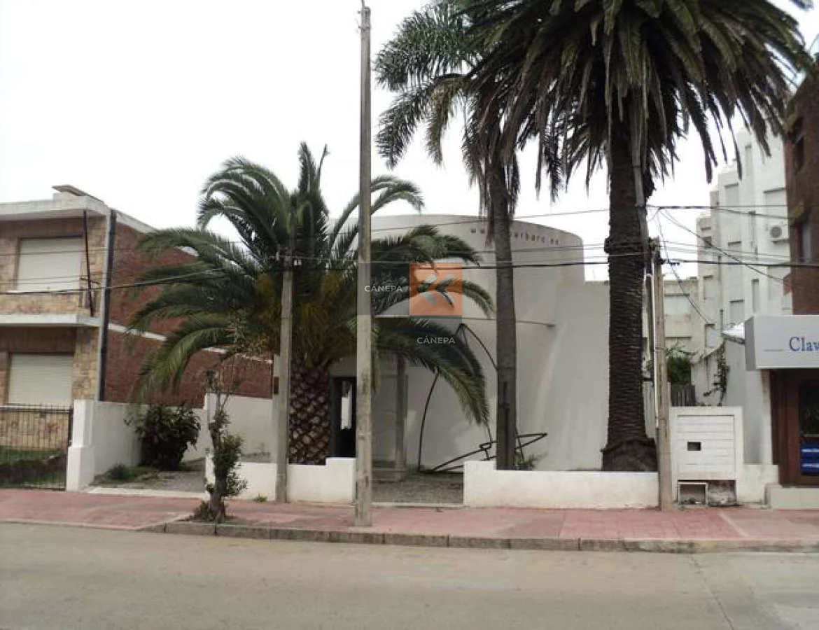Local en Península, propiedad 39343 -Imagen 1