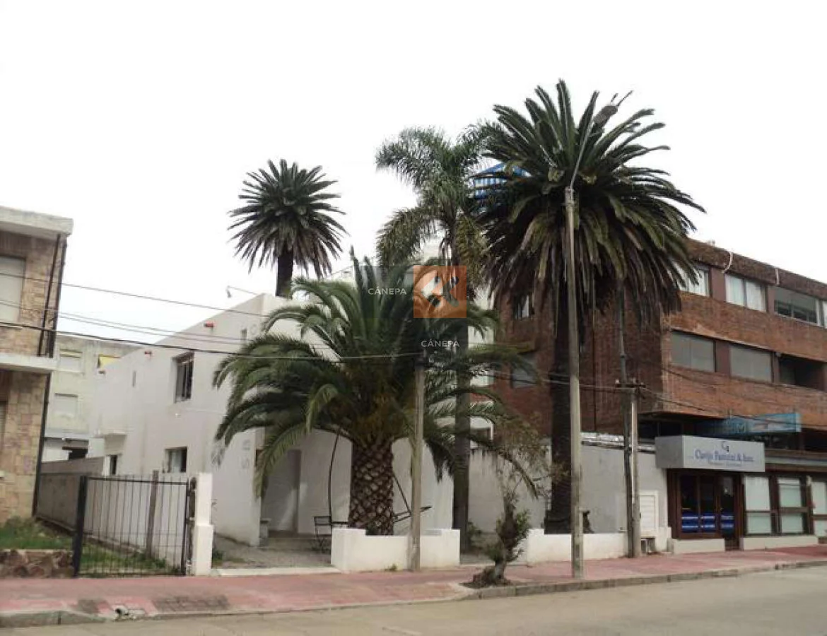 Local en Península, propiedad 39343 -Imagen 2