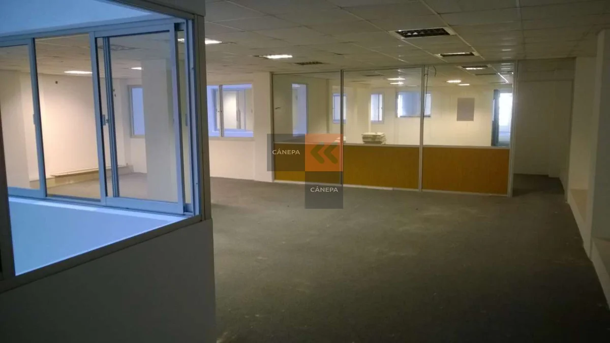 Local en Ciudad Vieja, propiedad 63238 -Imagen 5