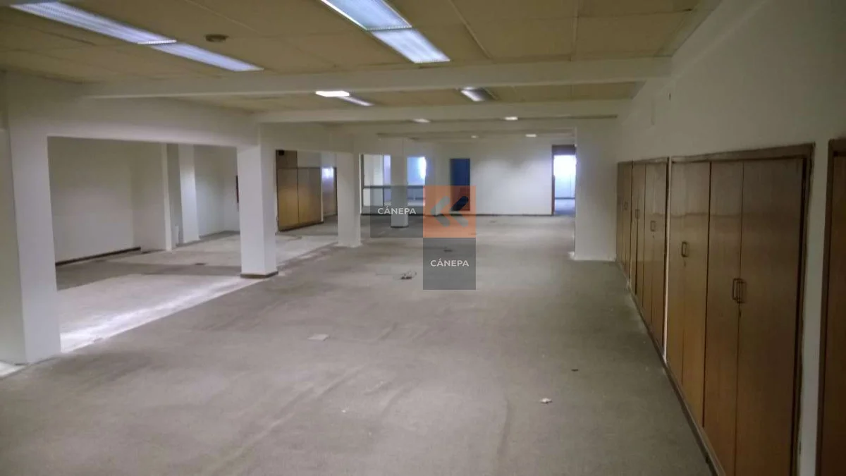 Local en Ciudad Vieja, propiedad 63238 -Imagen 8