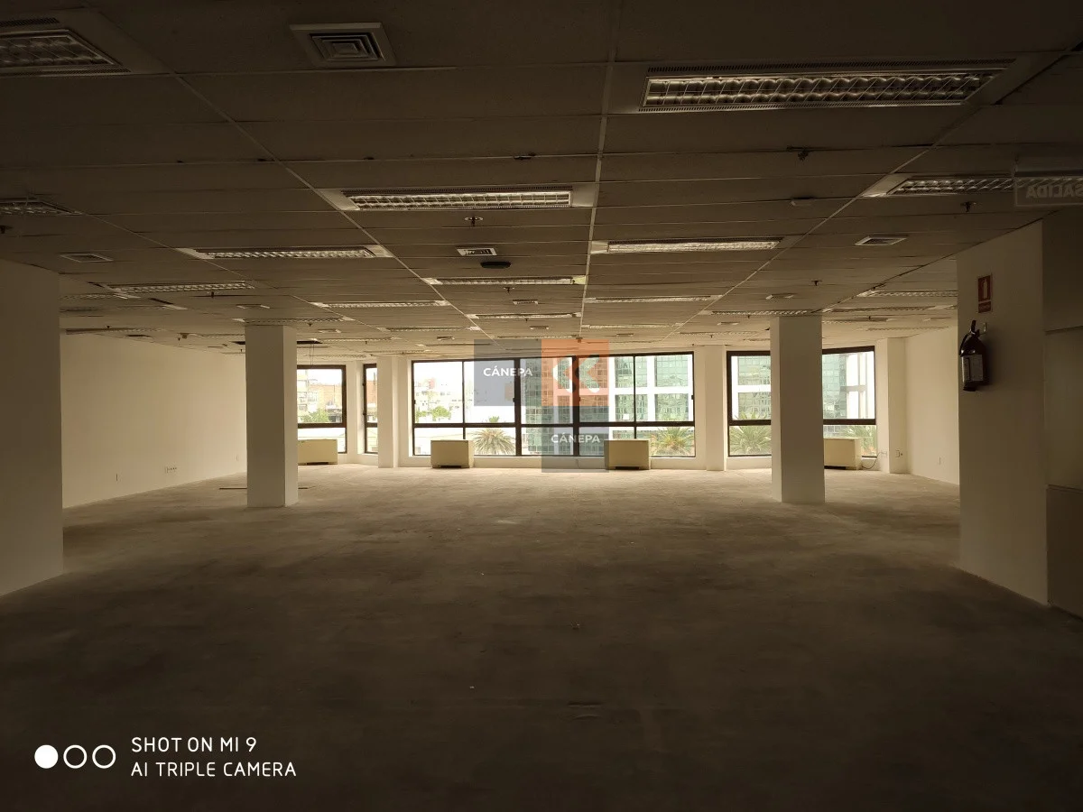 Local en Ciudad Vieja, propiedad 63482 -Imagen 4