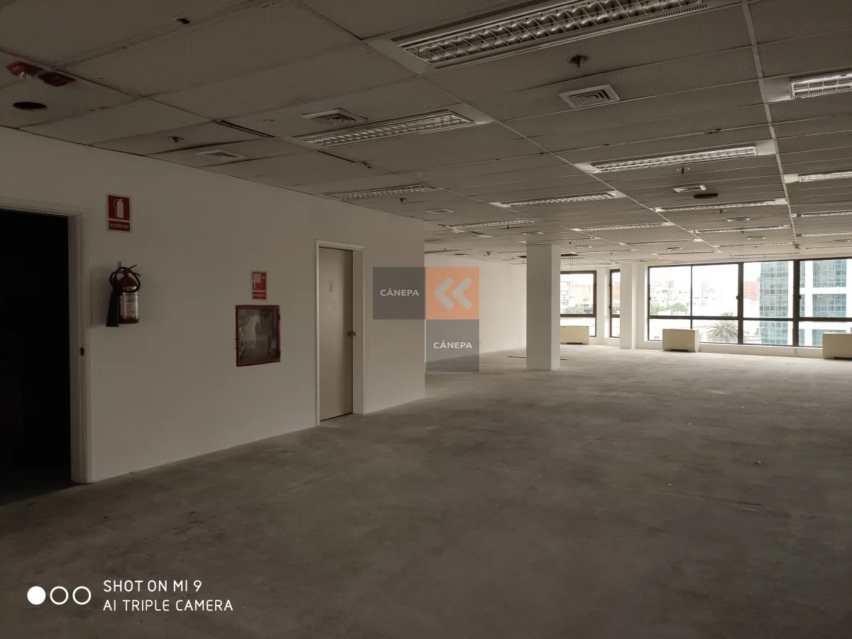 Local en Ciudad Vieja, propiedad 63482 -Imagen 5