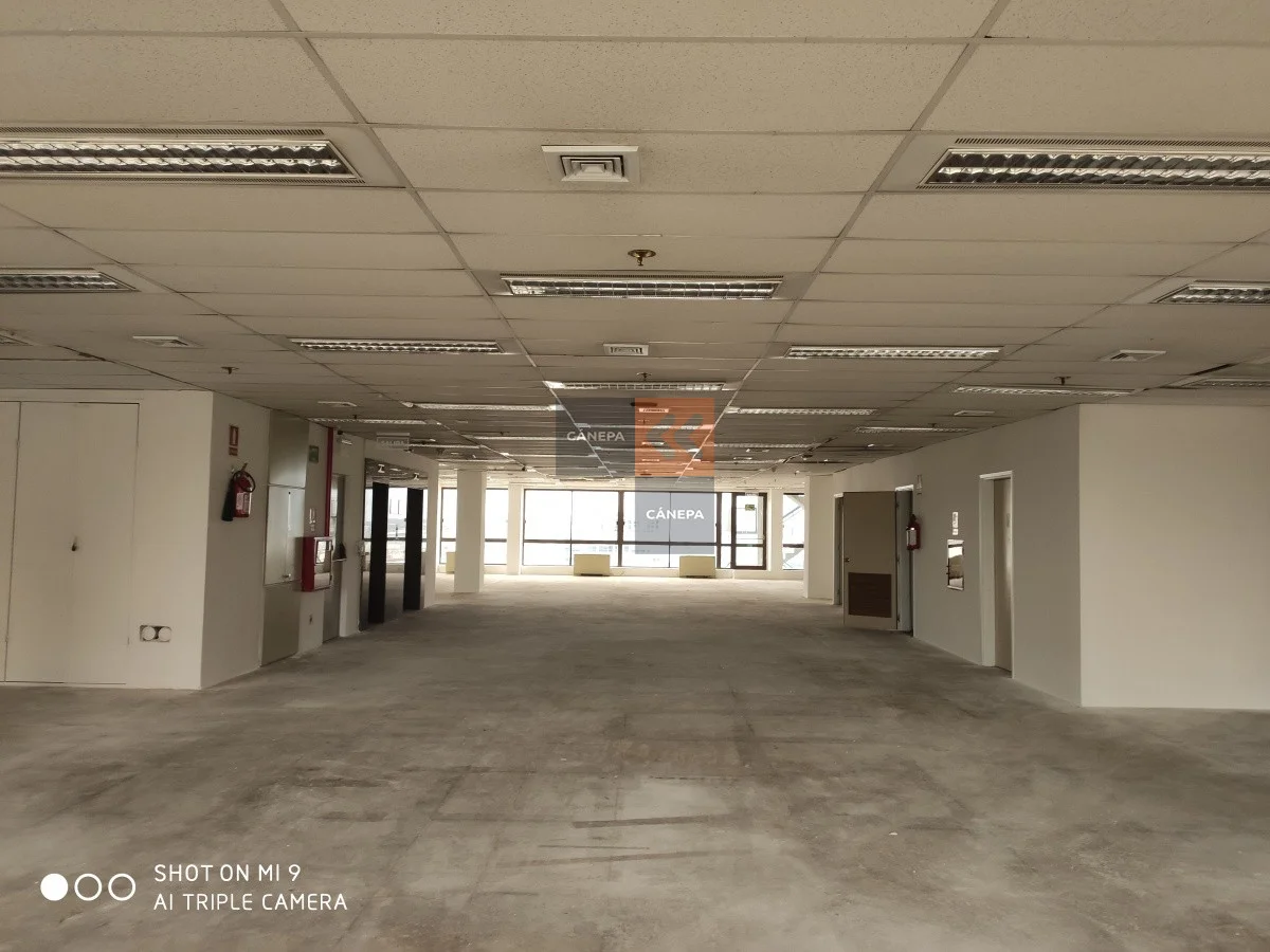 Local en Ciudad Vieja, propiedad 63482 -Imagen 7