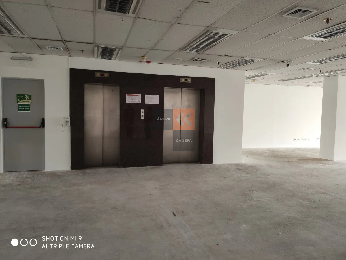 Local en Ciudad Vieja, propiedad 63482 -Imagen 9