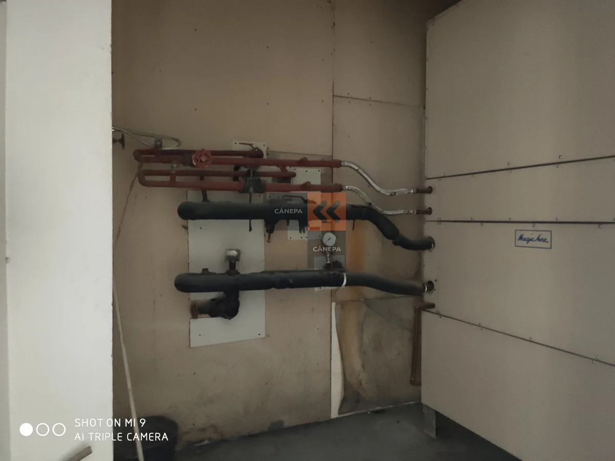 Local en Ciudad Vieja, propiedad 63484 -Imagen 12