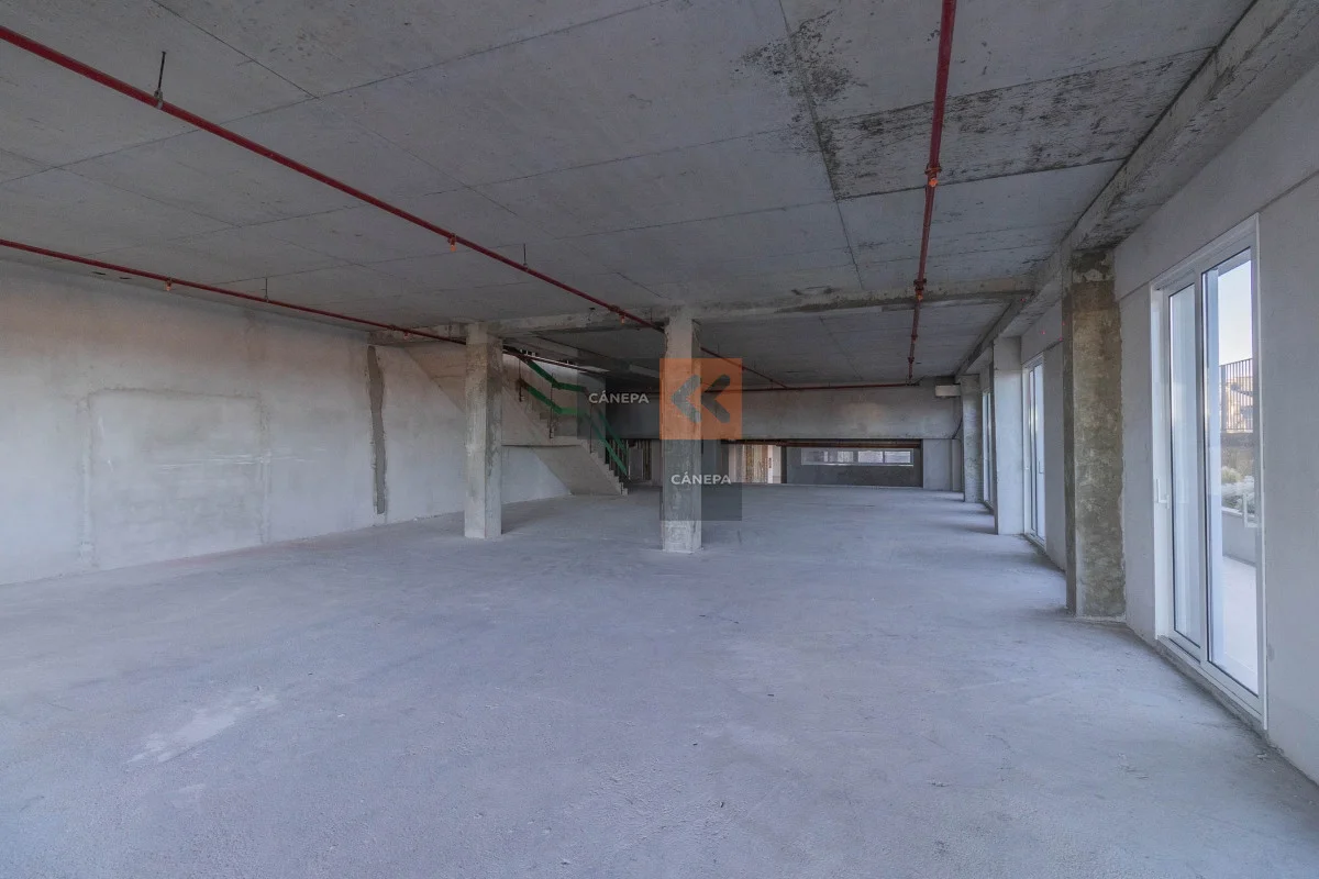 Oficina en Carrasco, propiedad 63564 -Imagen 12
