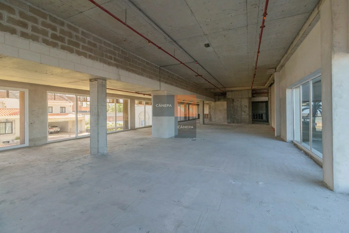 Oficina en Carrasco, propiedad 63564 -Imagen 6