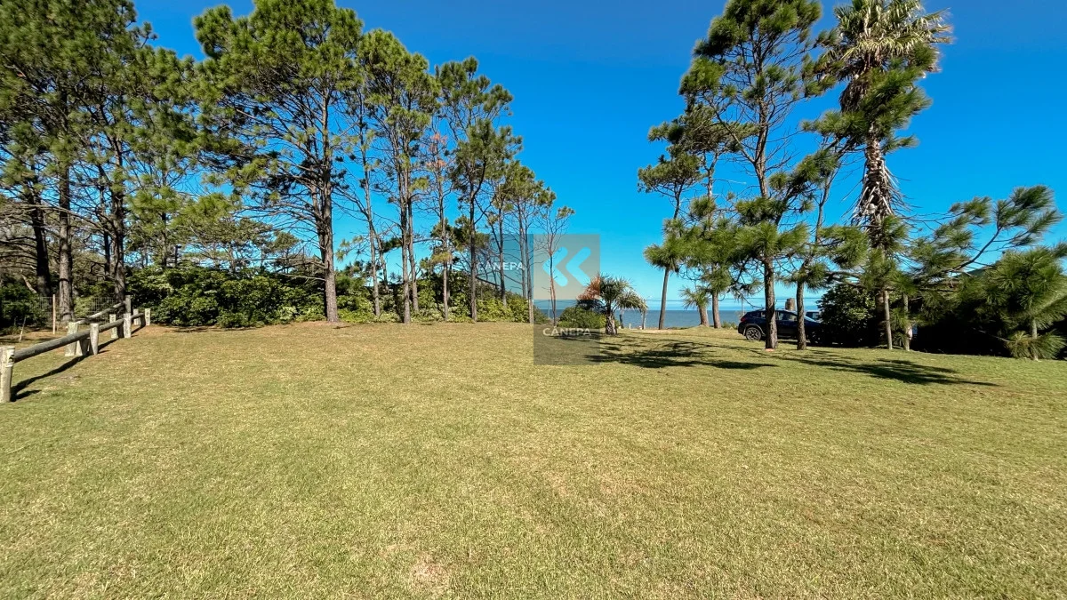 Terreno en Bella Vista, propiedad 73998 -Imagen 4
