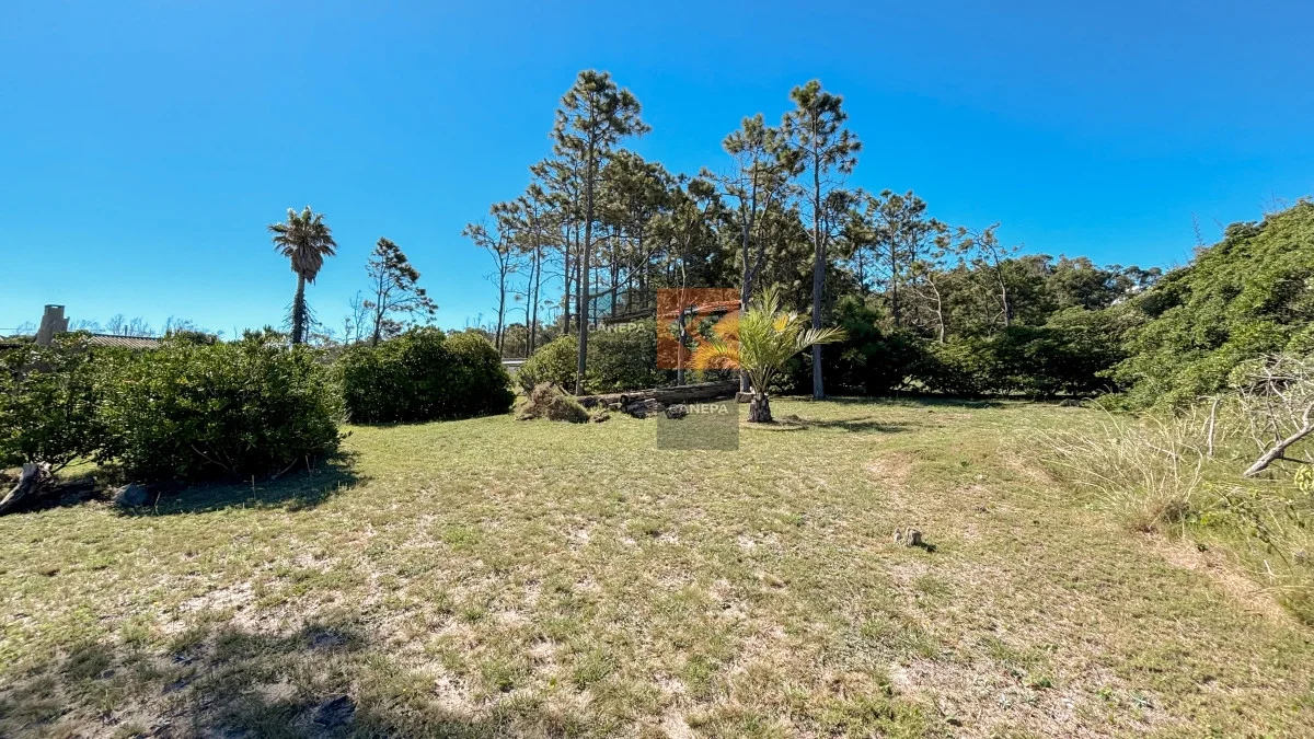 Terreno en Bella Vista, propiedad 73998 -Imagen 5