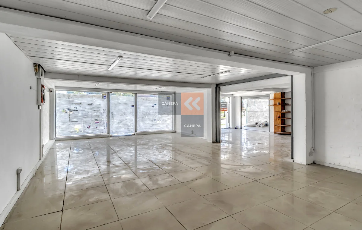 Local en Maldonado, propiedad 84039 -Imagen 2
