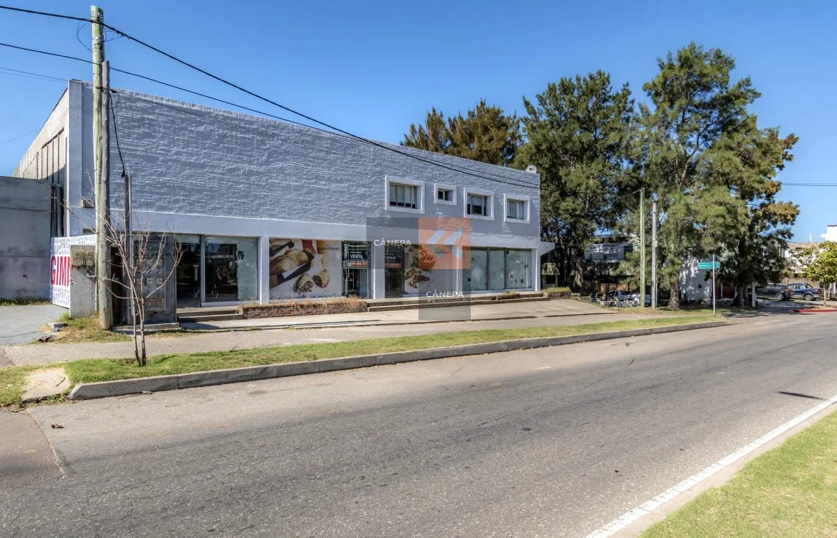 Local en Maldonado, propiedad 84039 -Imagen 4