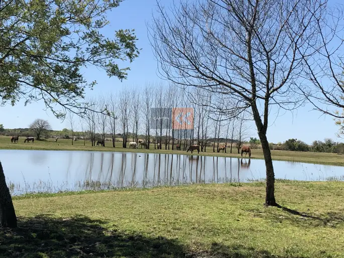 imagen  de la propiedad 282063
