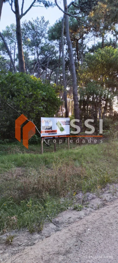 Terreno en Rincón del Indio, propiedad 66013 -Imagen 3