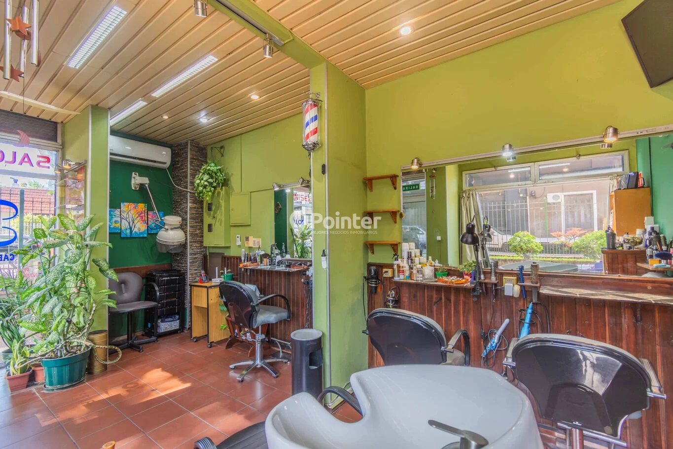 Local en Buceo, propiedad 263113 -Imagen 5