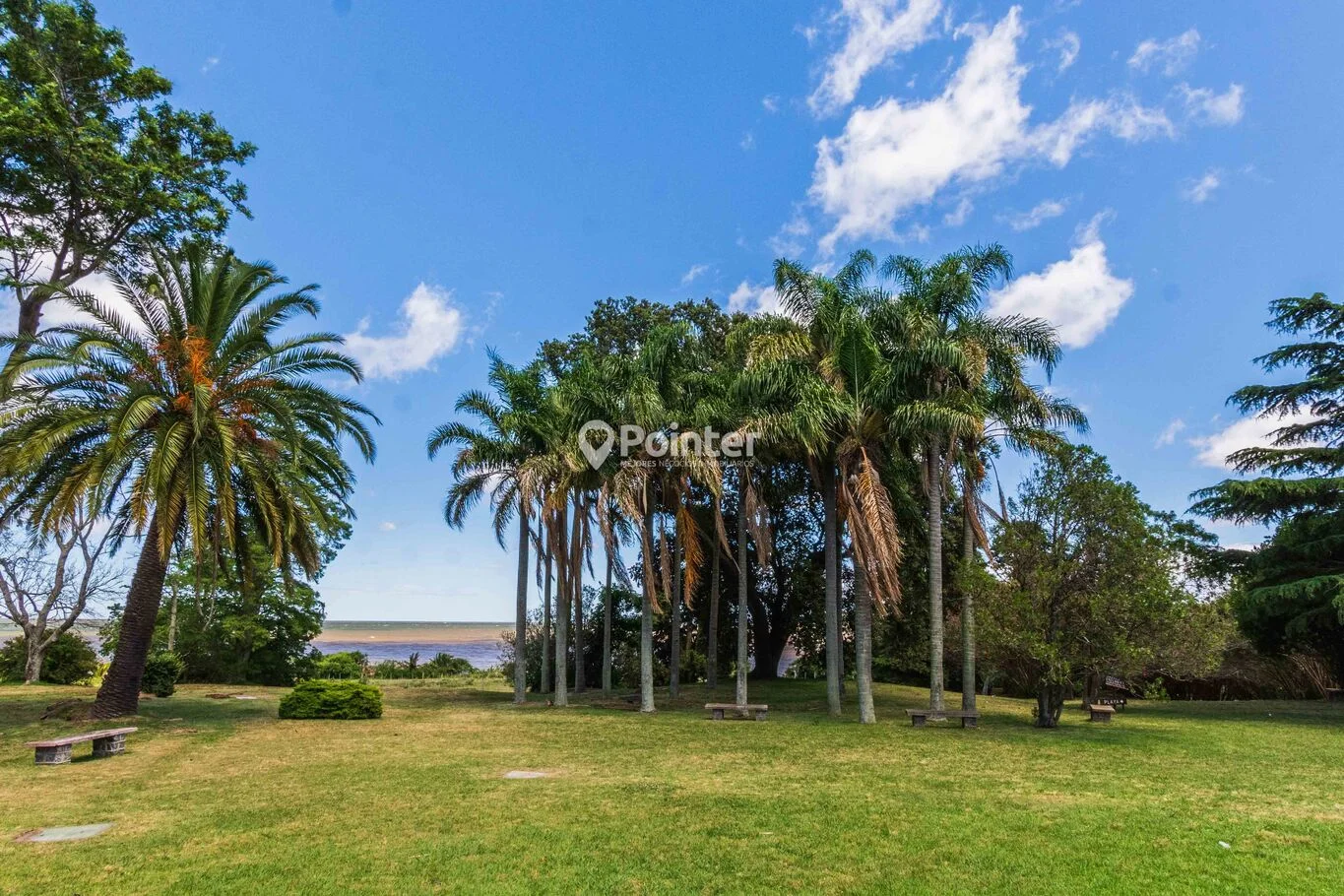 Chacra en Montevideo, propiedad 284036 -Imagen 15