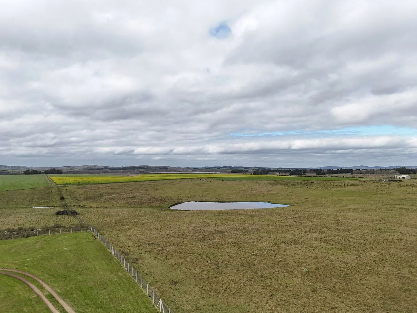 Chacra en Rural, propiedad 292154 -Imagen 13
