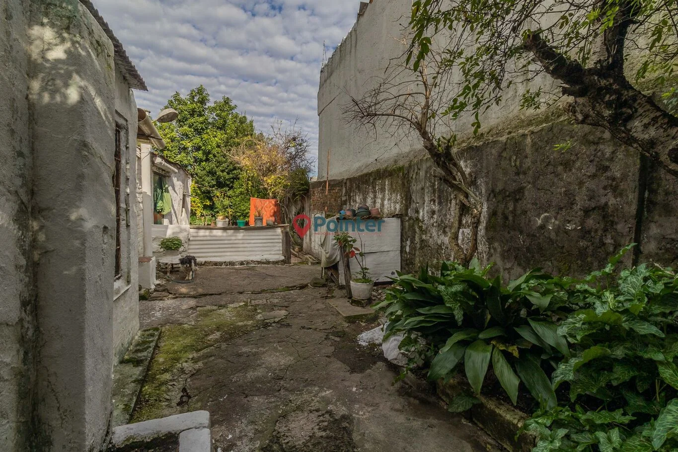 Casa en Villa Española, propiedad 90139 -Imagen 5