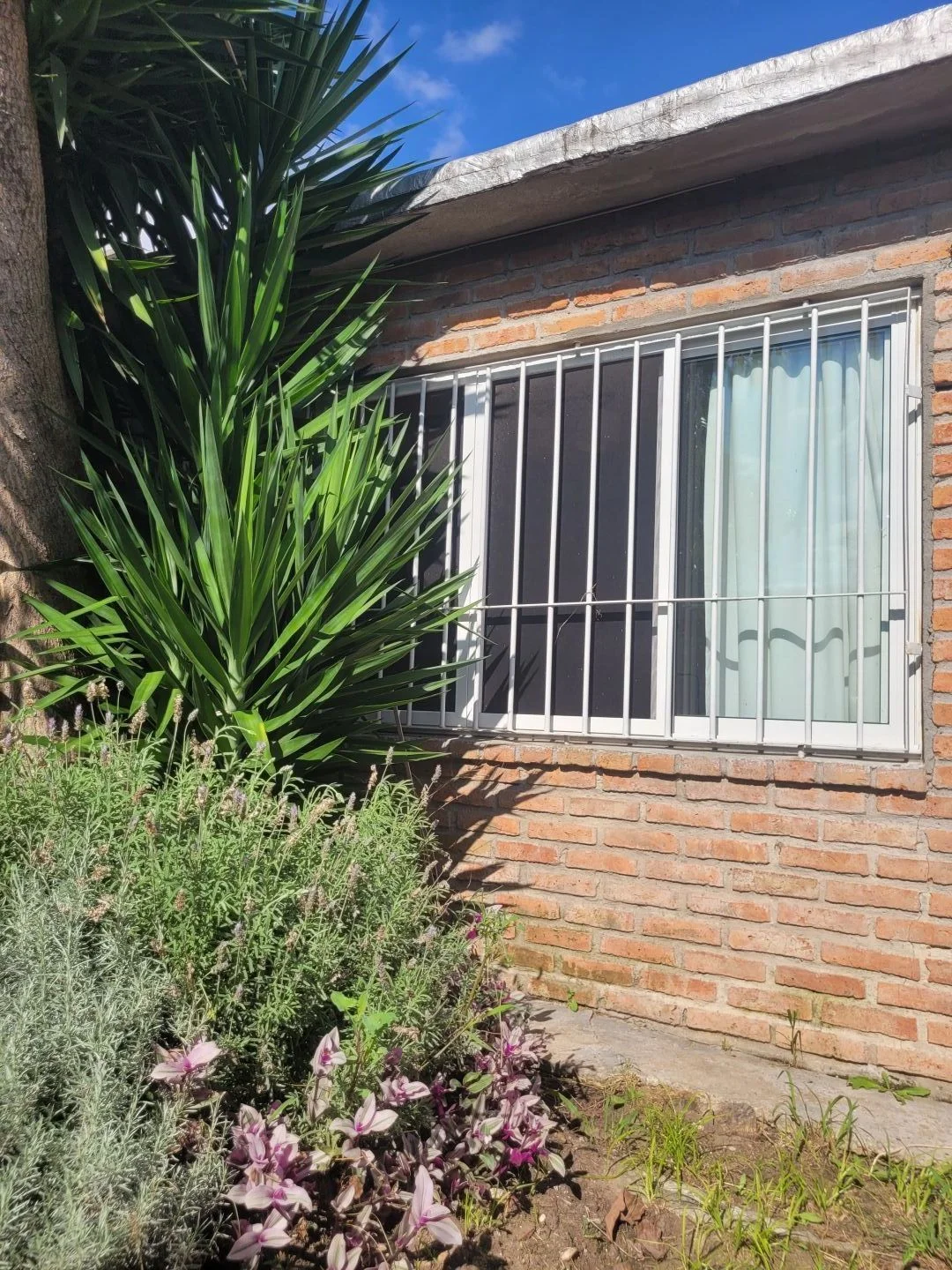 Casa en La Blanqueada, propiedad 297298 -Imagen 19