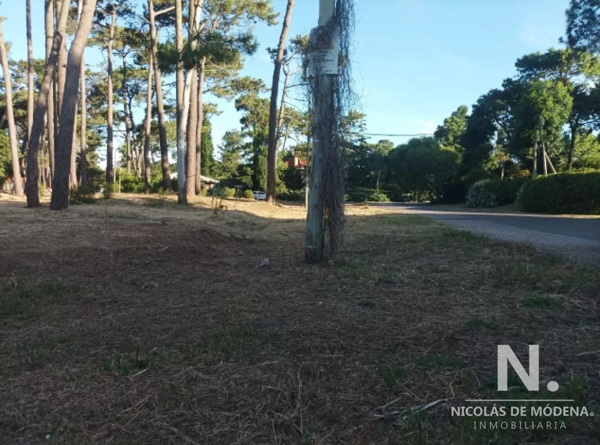 Terreno en Pinares, propiedad 118639 -Imagen 2