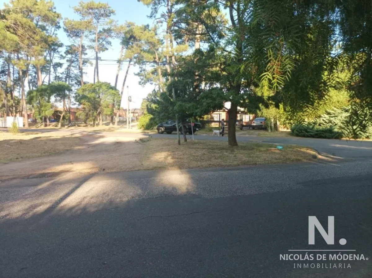 Terreno en Pinares, propiedad 118639 -Imagen 3