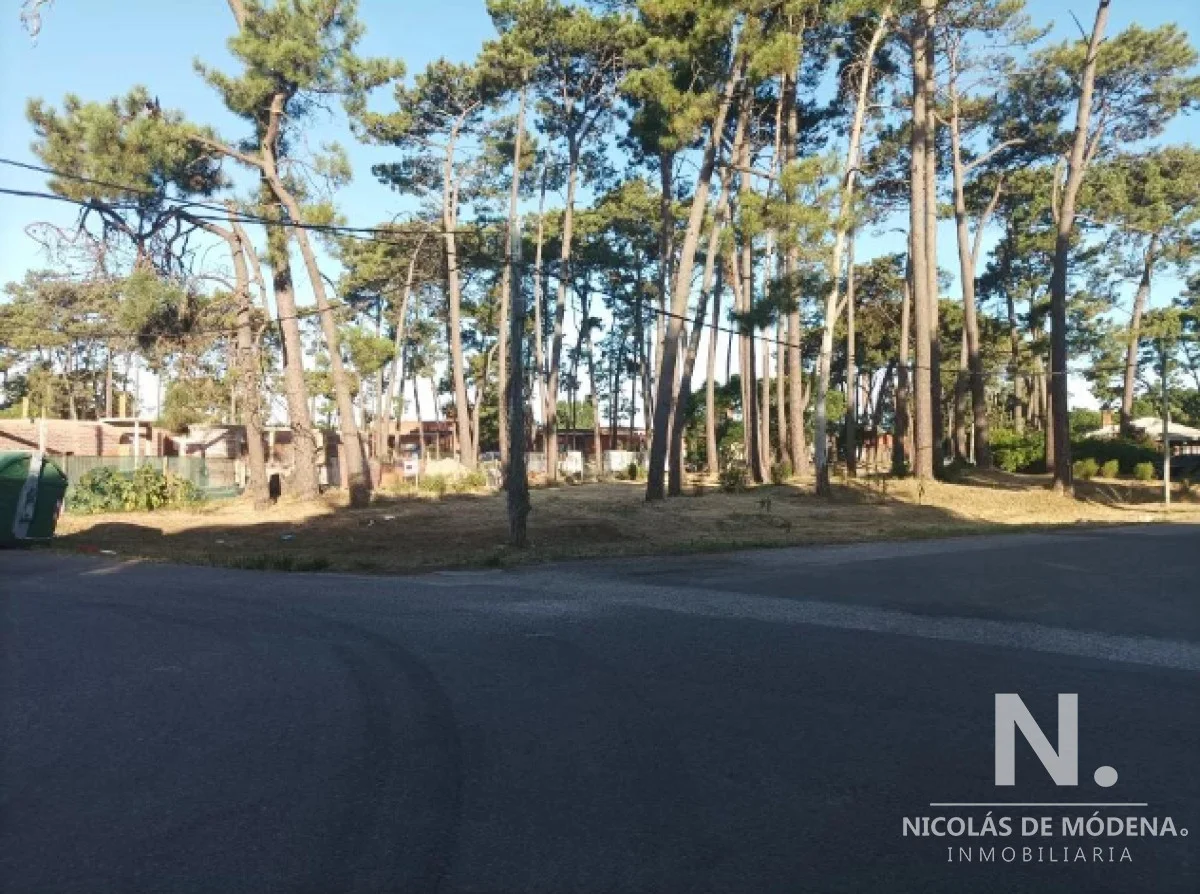 Terreno en Pinares, propiedad 118639 -Imagen 4