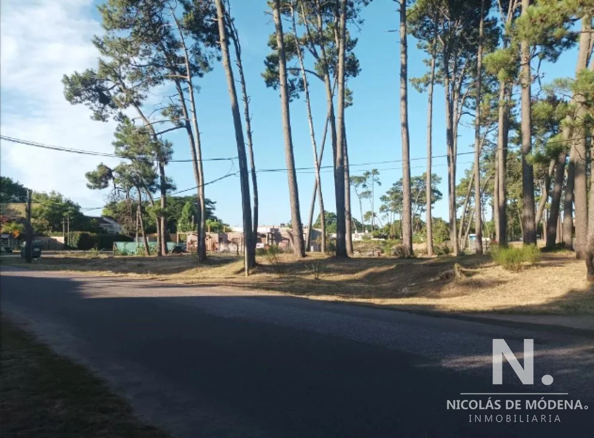 Terreno en Pinares, propiedad 118639 -Imagen 5