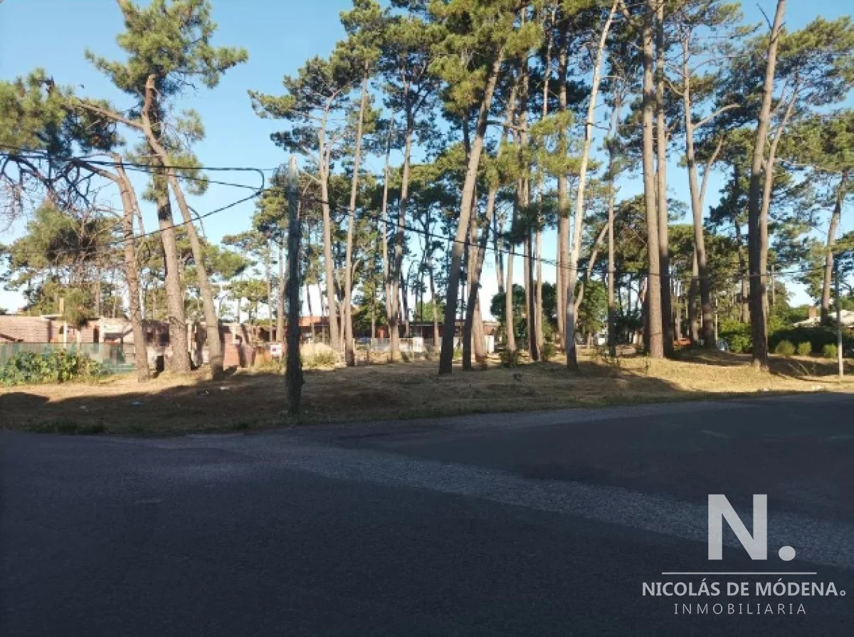 Terreno en Pinares, propiedad 118639 -Imagen 6