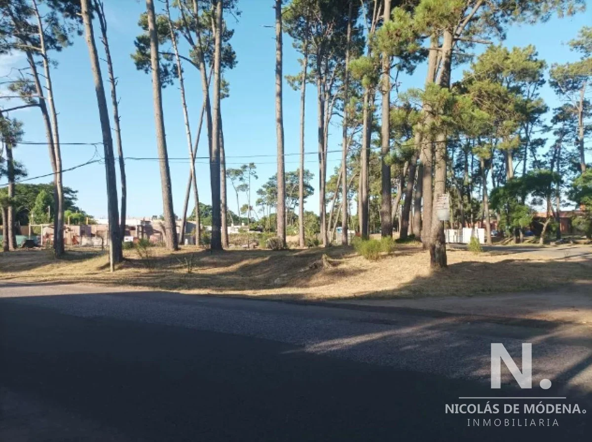 Terreno en Pinares, propiedad 118639 -Imagen 7
