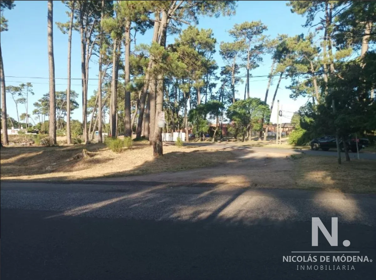 Terreno en Pinares, propiedad 118639 -Imagen 8