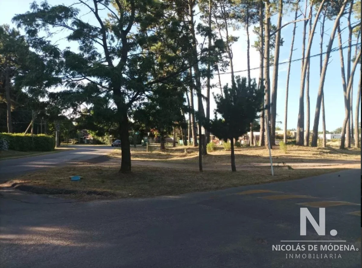 Terreno en Pinares, propiedad 118639 -Imagen 9