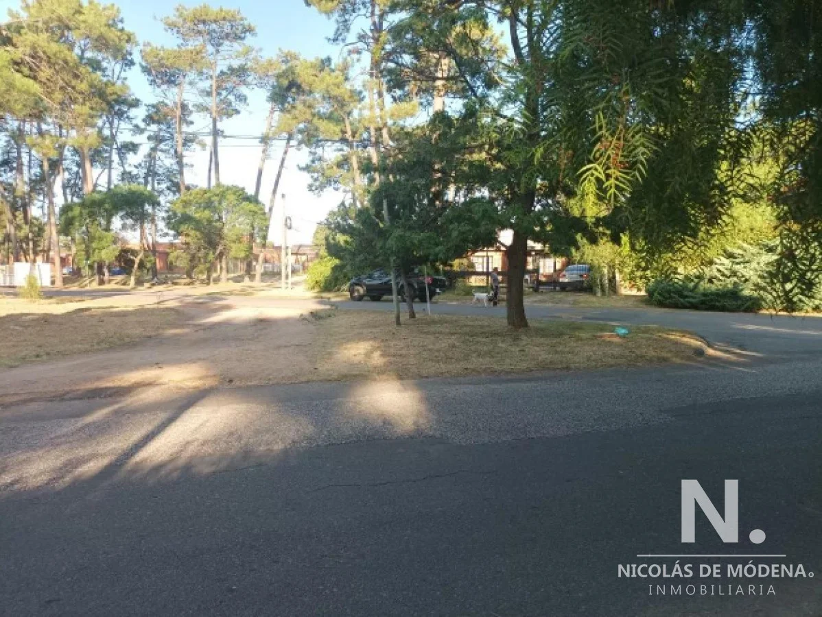Terreno en Pinares, propiedad 118639 -Imagen 10