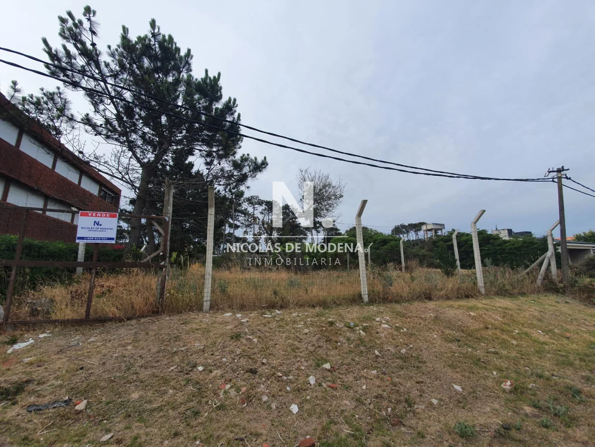 Terreno en San Rafael, propiedad 23001 -Imagen 1