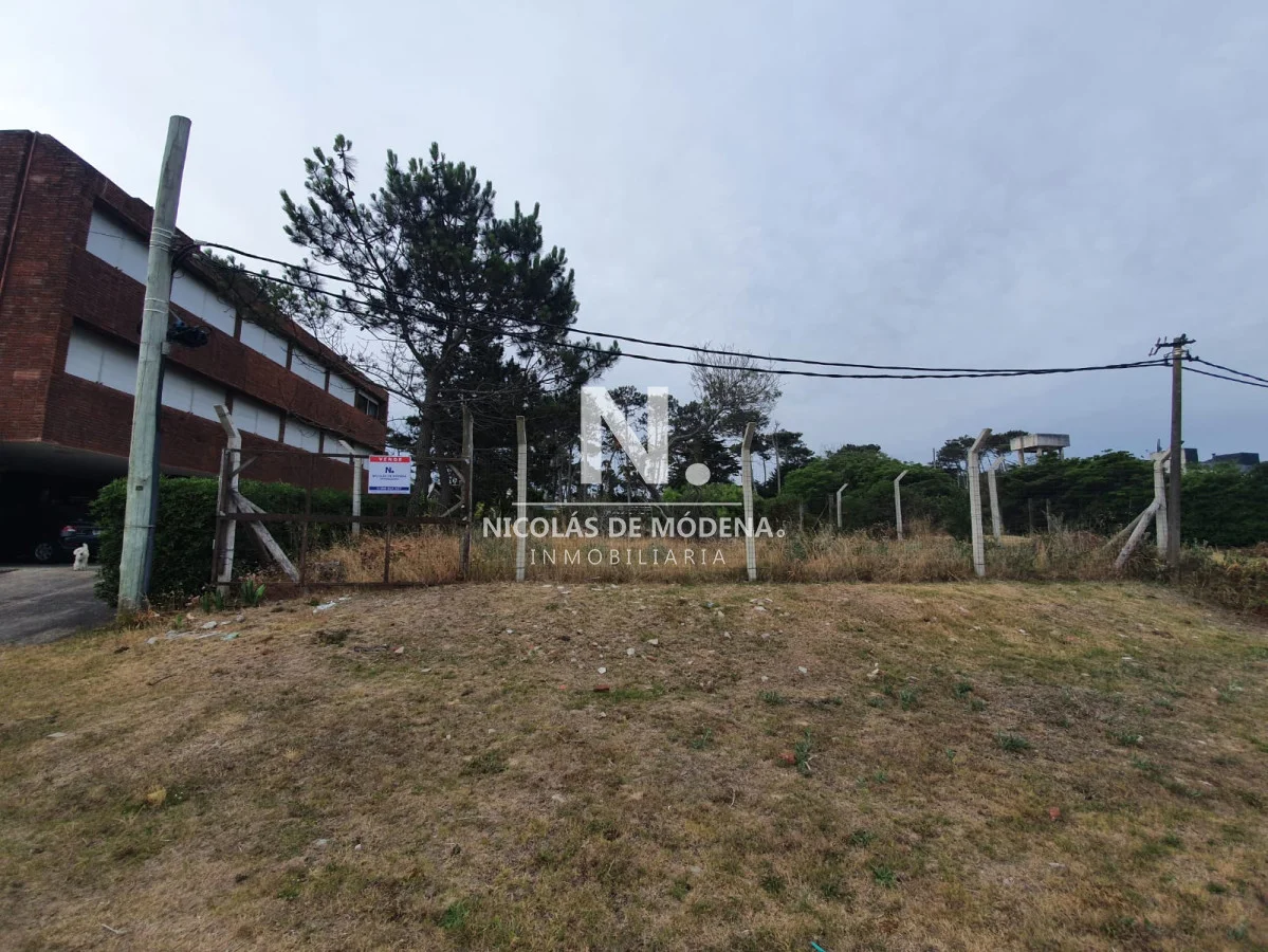 Terreno en San Rafael, propiedad 23001 -Imagen 2