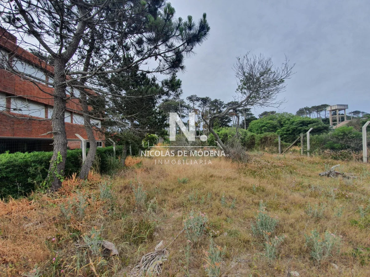 Terreno en San Rafael, propiedad 23001 -Imagen 3