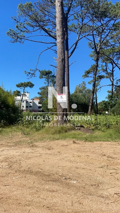 Terreno en Rincón del Indio, propiedad 23233 -Imagen 5