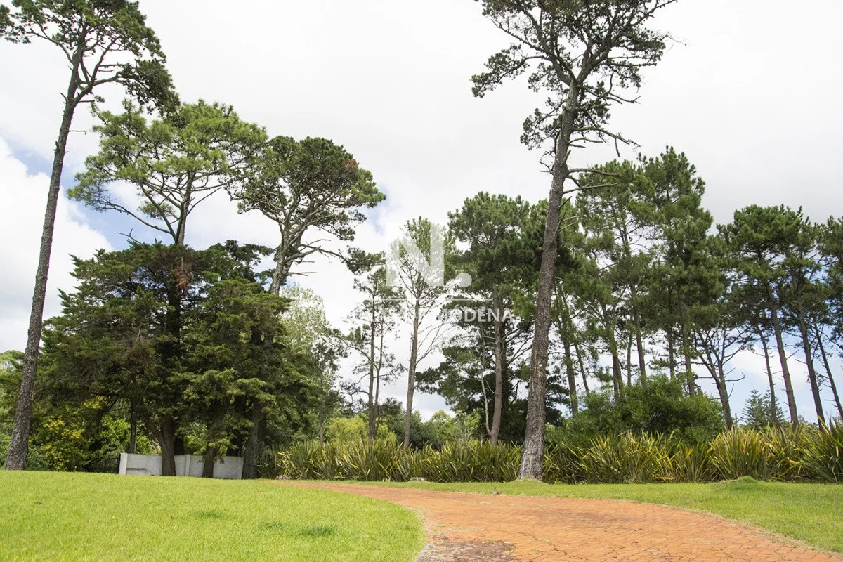 Casa en Golf, propiedad 24630 -Imagen 19