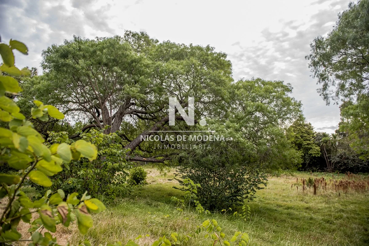 Casa en Golf, propiedad 24646 -Imagen 24