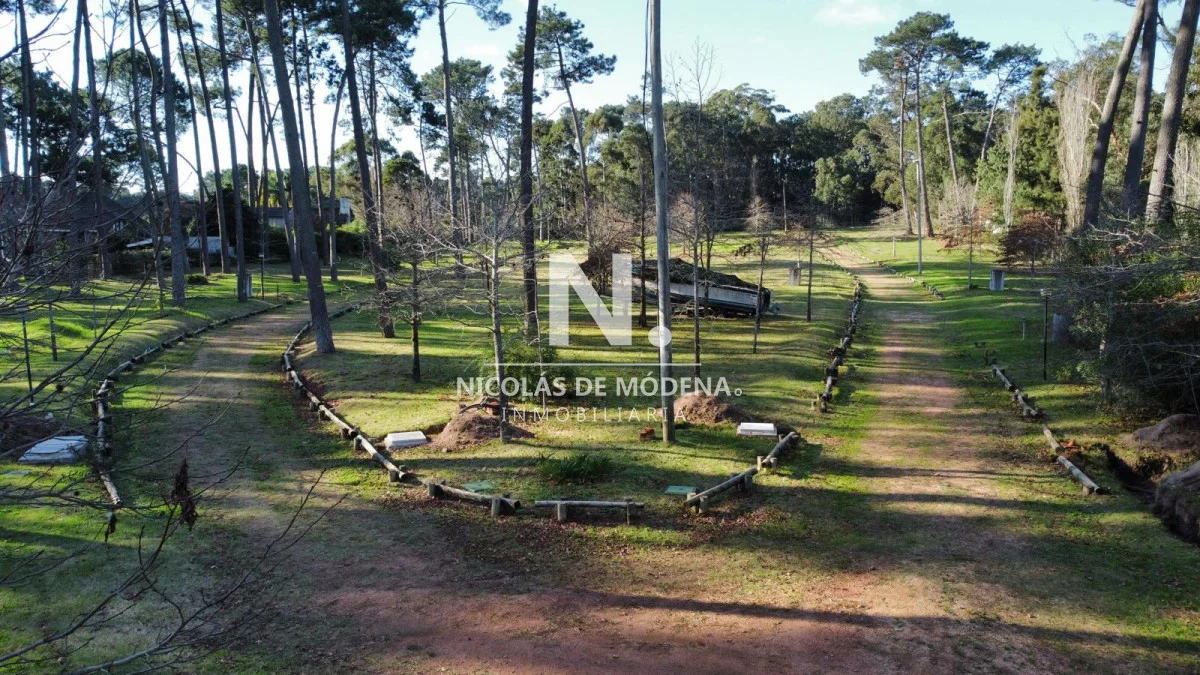 Terreno en Pinares, propiedad 248656 -Imagen 11
