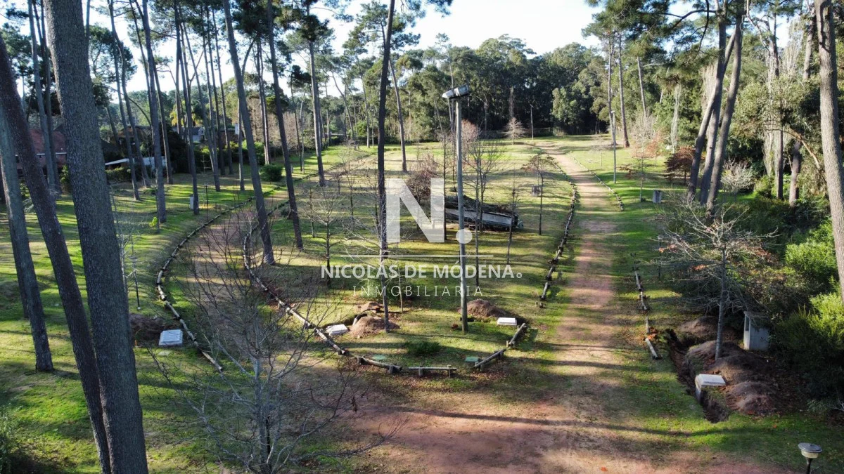Terreno en Pinares, propiedad 248656 -Imagen 12