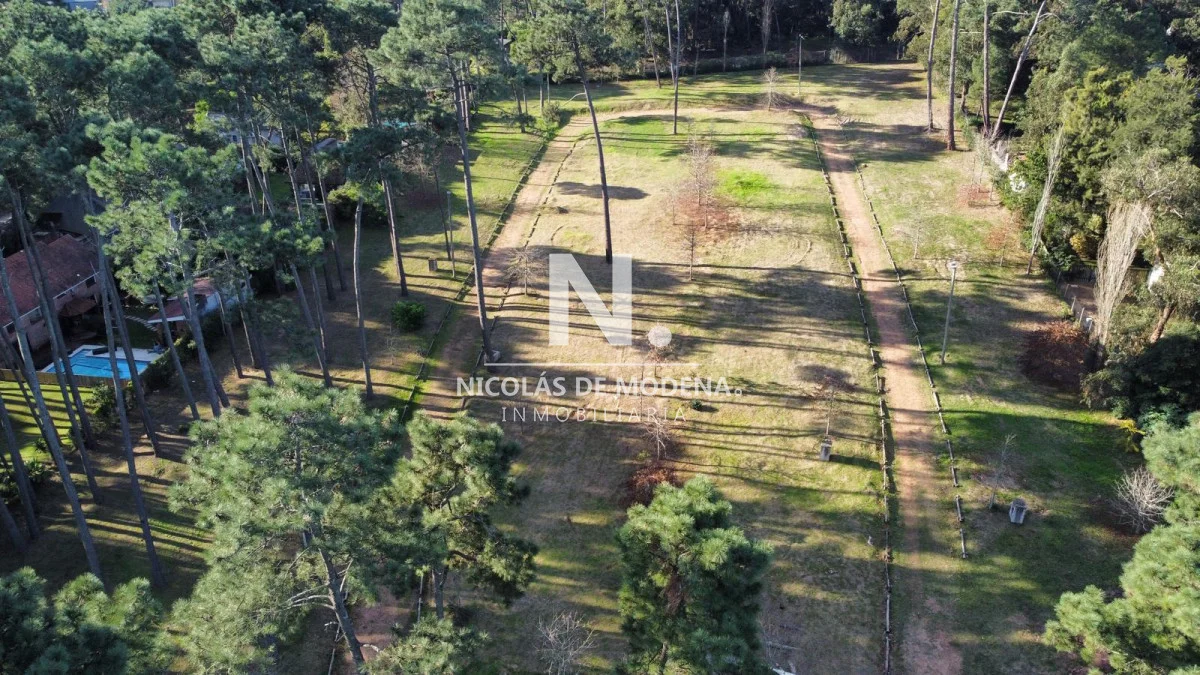 Terreno en Pinares, propiedad 251027 -Imagen 3