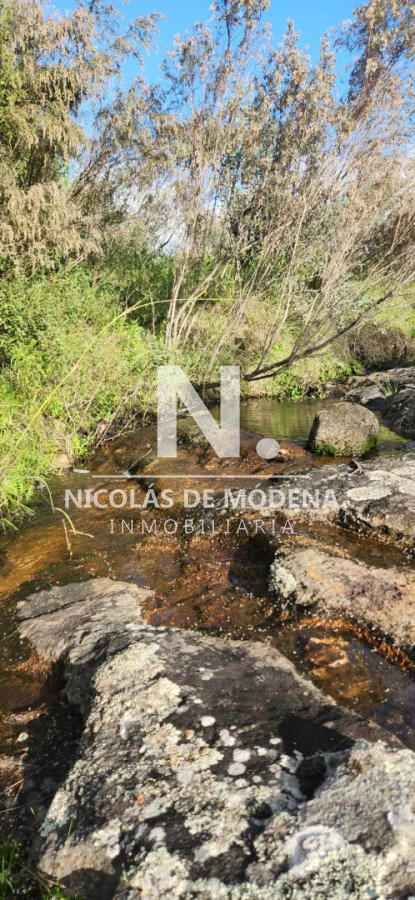 Chacra en San Carlos, propiedad 261799 -Imagen 15