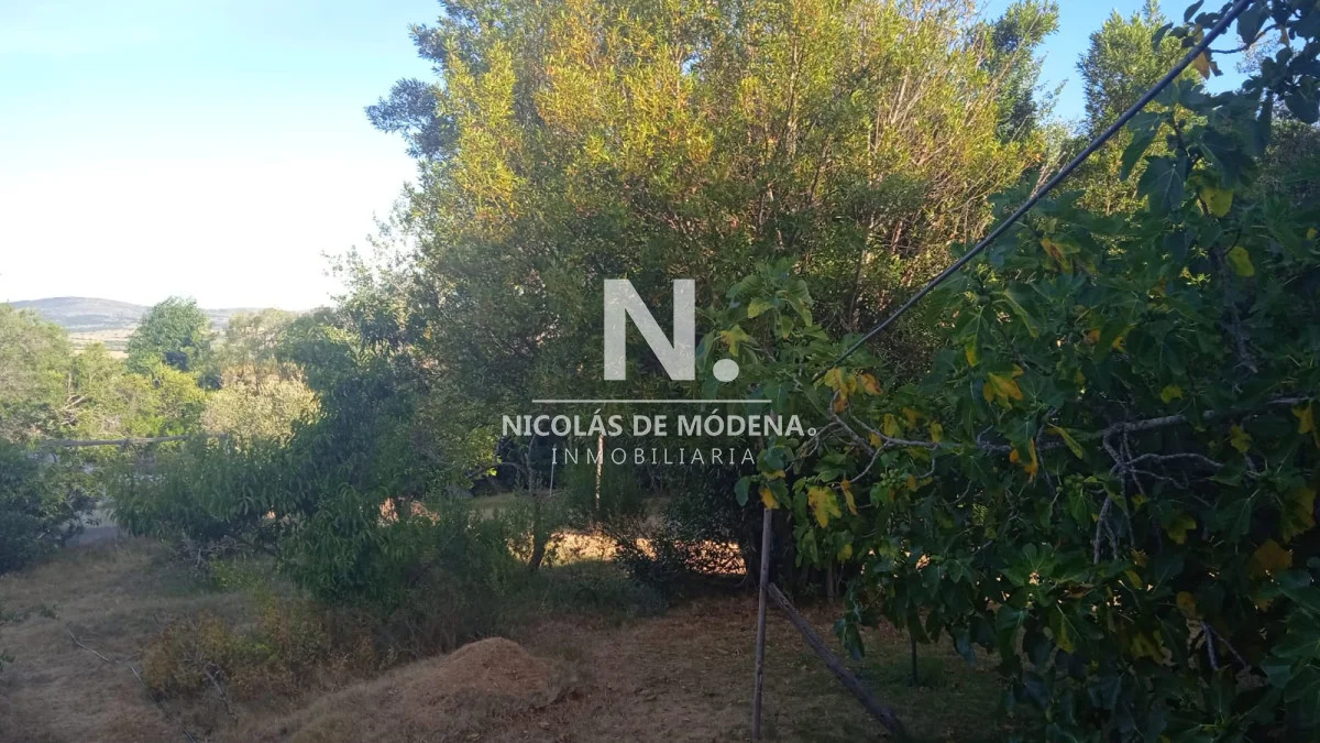 Chacra en San Carlos, propiedad 261799 -Imagen 16