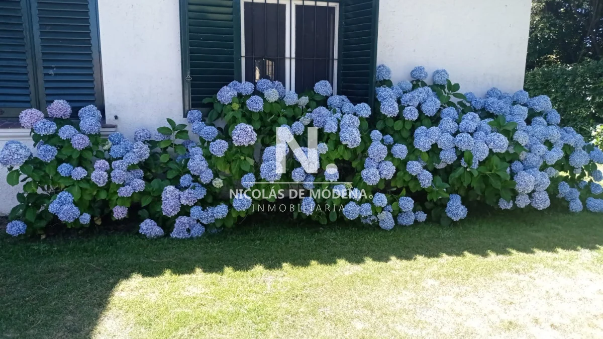 Casa en San Rafael, propiedad 271315 -Imagen 6